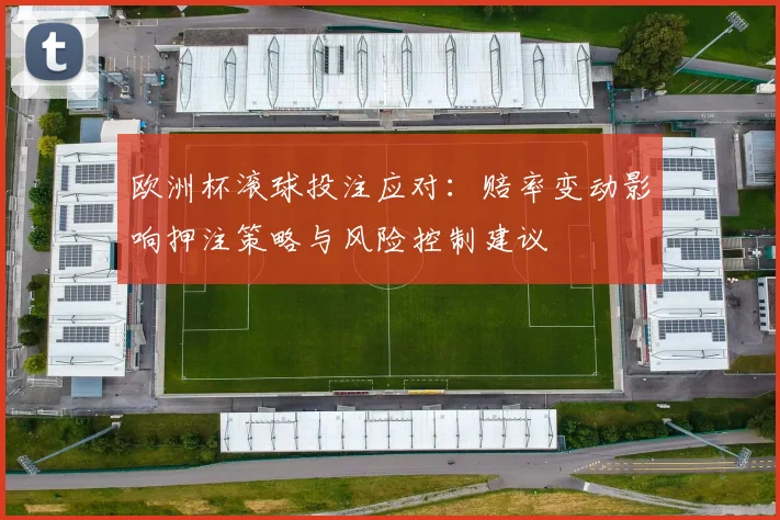 欧洲杯滚球投注应对：赔率变动影响押注策略与风险控制建议