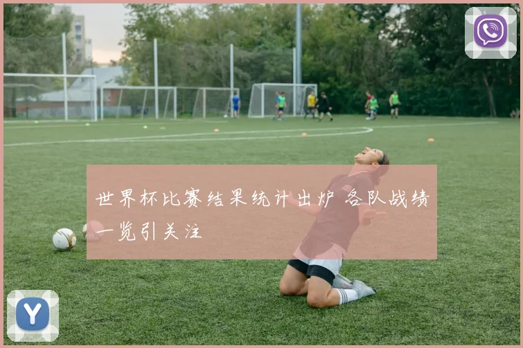世界杯比赛结果统计出炉 各队战绩一览引关注
